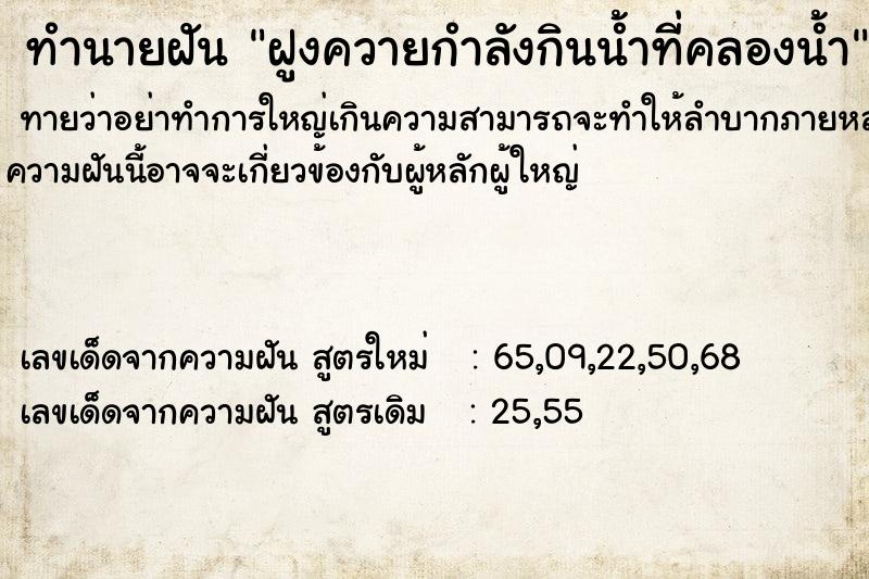 ทำนายฝันทำนายฝันฝูงควายกำลังกินน้ำที่คลองน้ำ