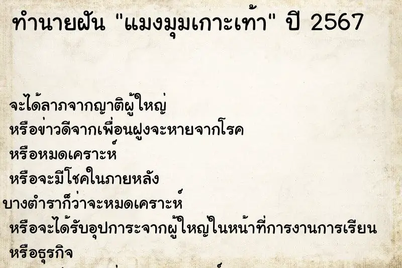 ทำนายฝัน แมงมุมเกาะเท้า ตำราโบราณ แม่นที่สุดในโลก