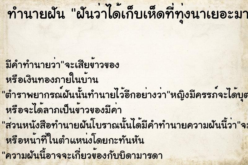 ทำนายฝันทำนายฝันฝันว่าได้เก็บเห็ดที่ทุ่งนาเยอะมาก