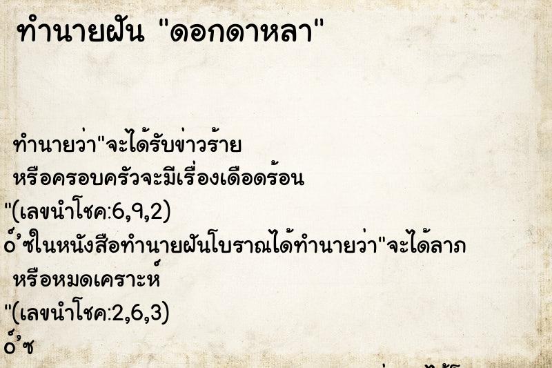 ทำนายฝัน ดอกดาหลา ทำนายฝัน ดอกดาหลา