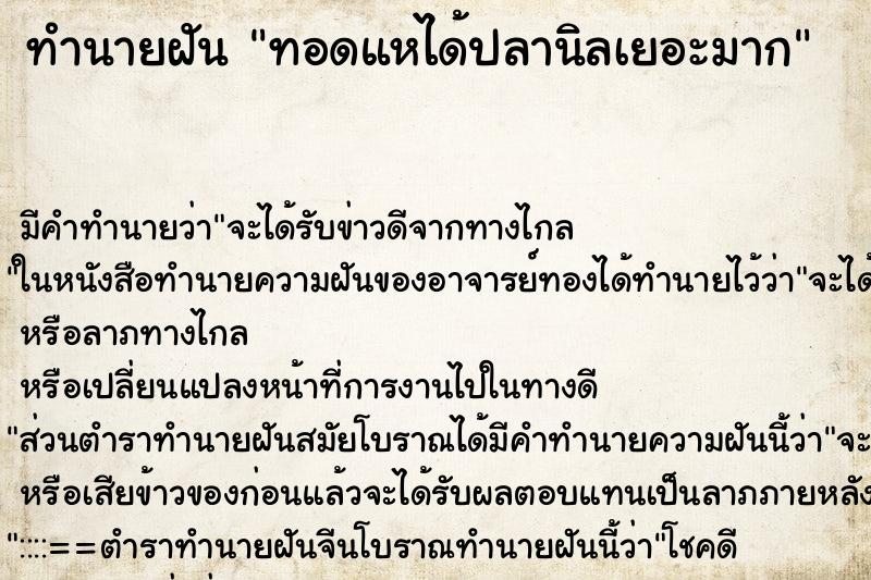 ทำนายฝันทอดแหได้ปลานิลเยอะมาก ทำนายฝันทำนายฝันทอดแหได้ปลานิลเยอะมาก