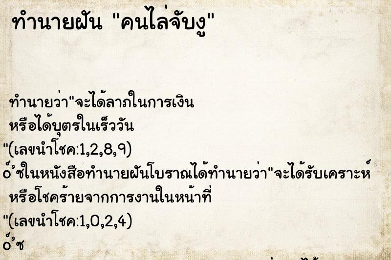 ทำนายฝันทำนายฝันคนไล่จับงู
