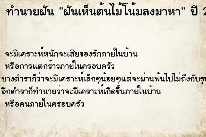 ทำนายฝันฝันเห็นต้นไม้โน้มลงมาหา ทำนายฝันทำนายฝันฝันเห็นต้นไม้โน้มลงมาหา