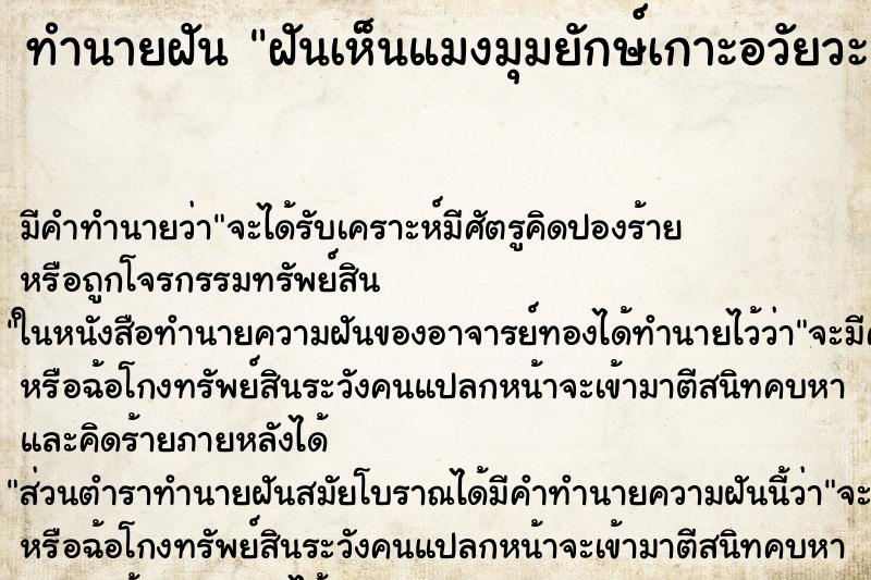 ทำนายฝันฝันเห็นแมงมุมยักษ์เกาะอวัยวะเพศ ทำนายฝันทำนายฝันฝันเห็นแมงมุมยักษ์เกาะอวัยวะเพศ