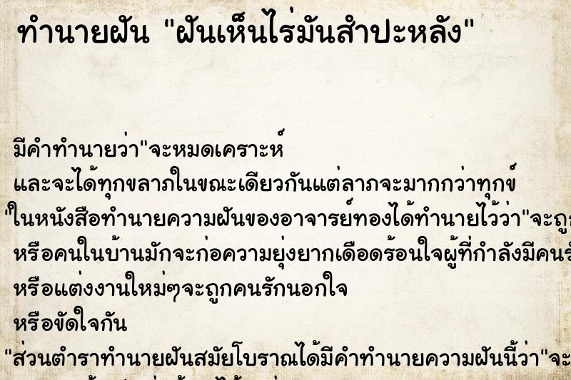 ทำนายฝัน ฝันเห็นไร่มันสำปะหลัง ทำนายฝัน ฝันเห็นไร่มันสำปะหลัง