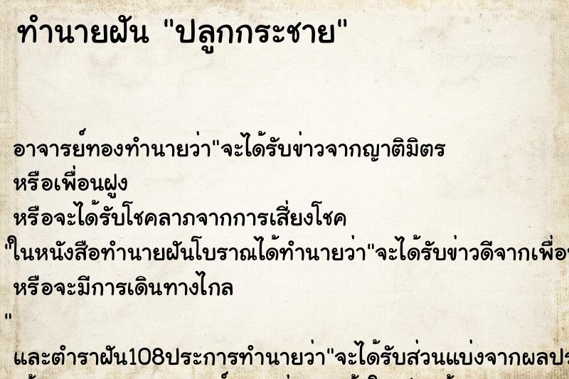 ทำนายฝันทำนายฝันปลูกกระชาย