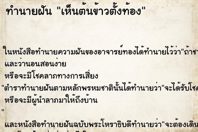 ทำนายฝันเห็นต้นข้าวตั้งท้อง ทำนายฝันทำนายฝันเห็นต้นข้าวตั้งท้อง