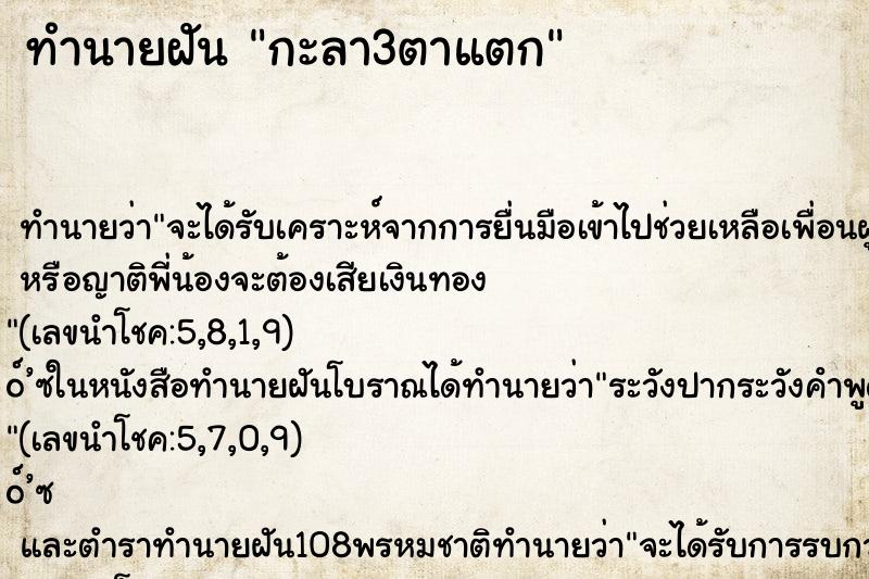 ทำนายฝันกะลา3ตาแตก ทำนายฝันทำนายฝันกะลา3ตาแตก