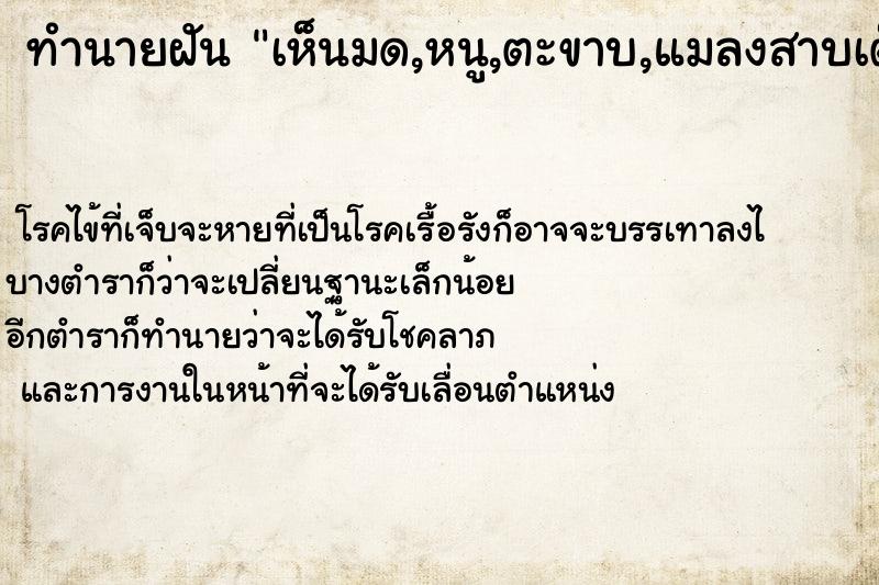 ทำนายฝันทำนายฝันเห็นมด,หนู,ตะขาบ,แมลงสาบเต็มไปหมด