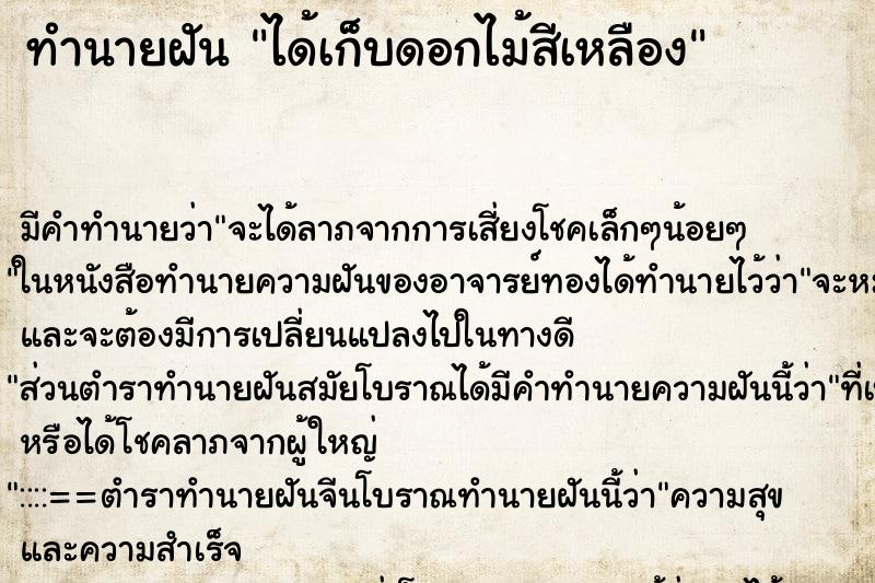 ทำนายฝัน ได้เก็บดอกไม้สีเหลือง ทำนายฝัน ได้เก็บดอกไม้สีเหลือง