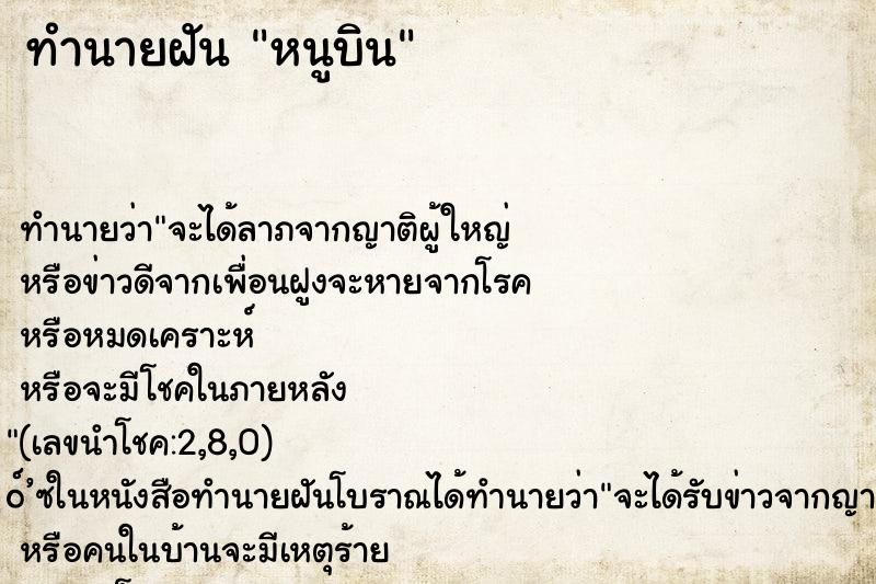 ทำนายฝัน หนูบิน