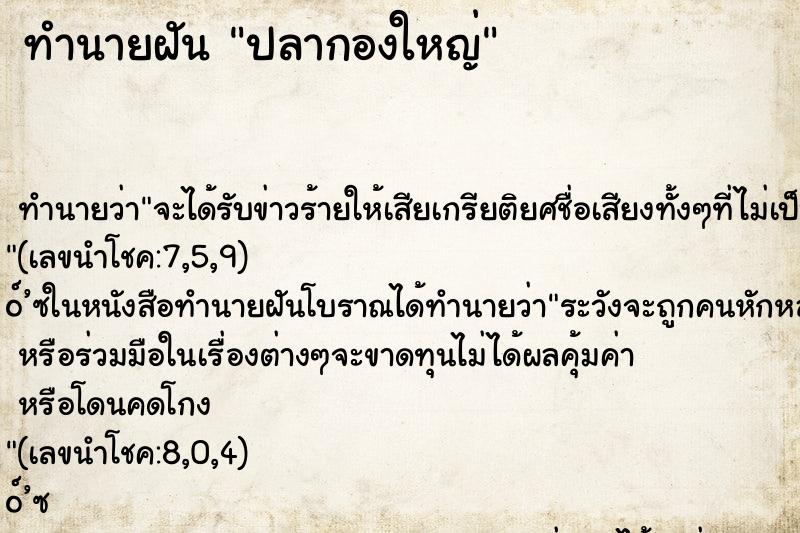 ทำนายฝันปลากองใหญ่ ทำนายฝันทำนายฝันปลากองใหญ่