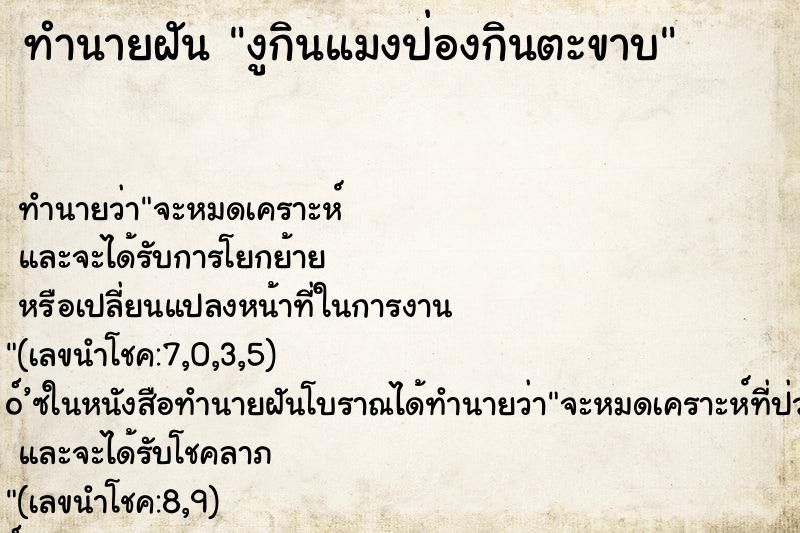 ทำนายฝันทำนายฝันงูกินแมงป่องกินตะขาบ