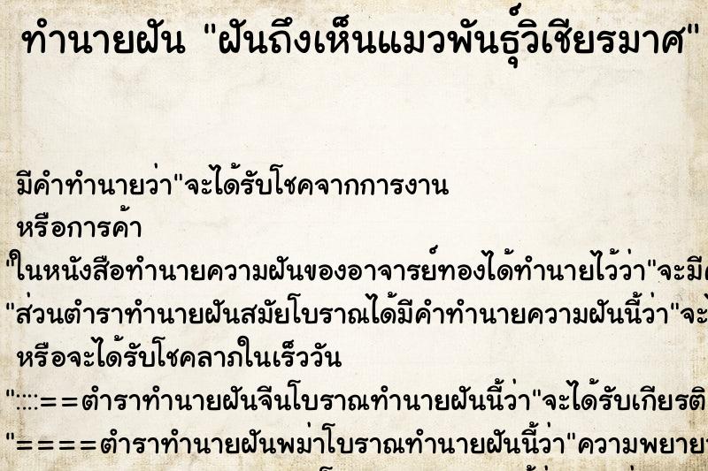 ทำนายฝันทำนายฝันฝันถึงเห็นแมวพันธุ์วิเชียรมาศ