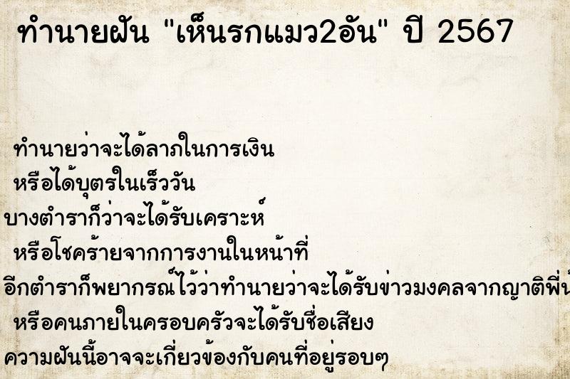 ทำนายฝันเห็นรกแมว2อัน ทำนายฝันทำนายฝันเห็นรกแมว2อัน