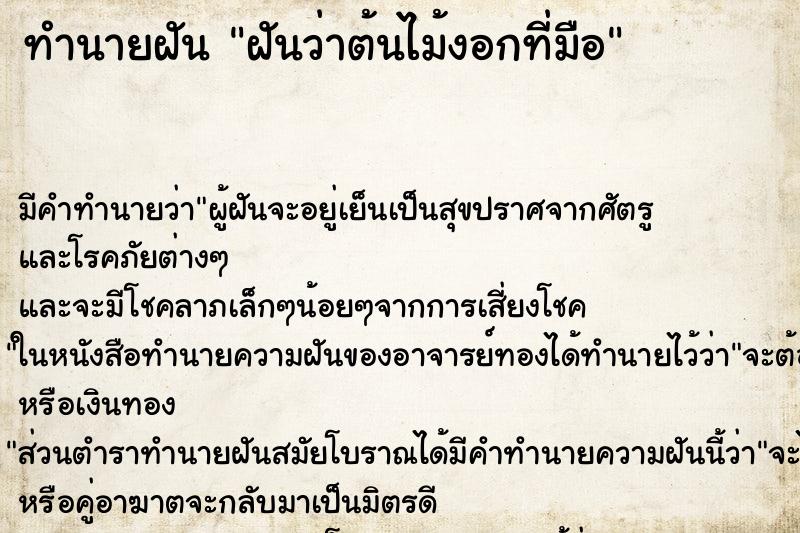 ทำนายฝัน ฝันว่าต้นไม้งอกที่มือ ตำราโบราณ แม่นที่สุดในโลก