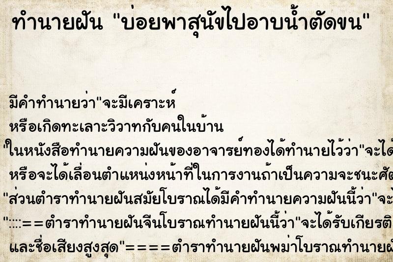 ทำนายฝันบ่อยพาสุนัขไปอาบน้ำตัดขน ทำนายฝันทำนายฝันบ่อยพาสุนัขไปอาบน้ำตัดขน
