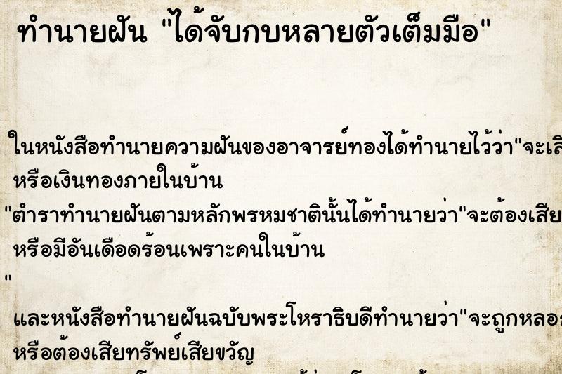 ทำนายฝันทำนายฝันได้จับกบหลายตัวเต็มมือ