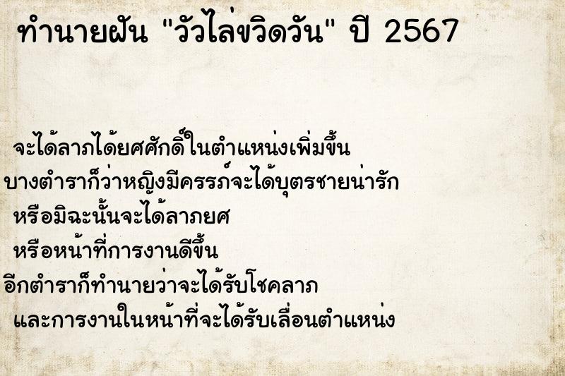 ทำนายฝัน วัวไล่ขวิดวัน ทำนายฝัน วัวไล่ขวิดวัน