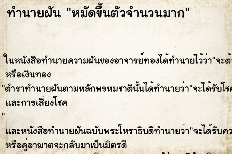 ทำนายฝัน หมัดขึ้นตัวจำนวนมาก แม่นๆ ฟรี ด้วยตำราหนังสือทำนายฝันโบราณ ทำนายฝันหมัดขึ้นตัวจำนวนมาก