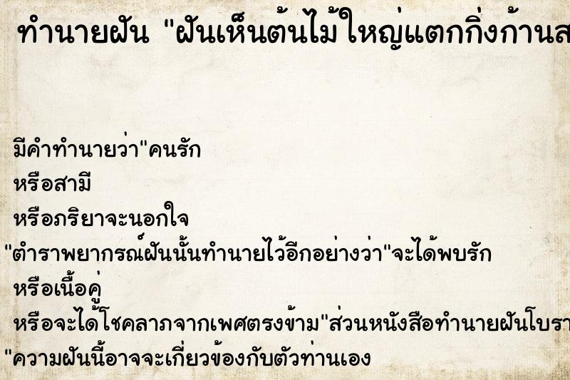 ทำนายฝันฝันเห็นต้นไม้ใหญ่แตกกิ่งก้านสาขาร่มเย็น ทำนายฝันทำนายฝันฝันเห็นต้นไม้ใหญ่แตกกิ่งก้านสาขาร่มเย็น