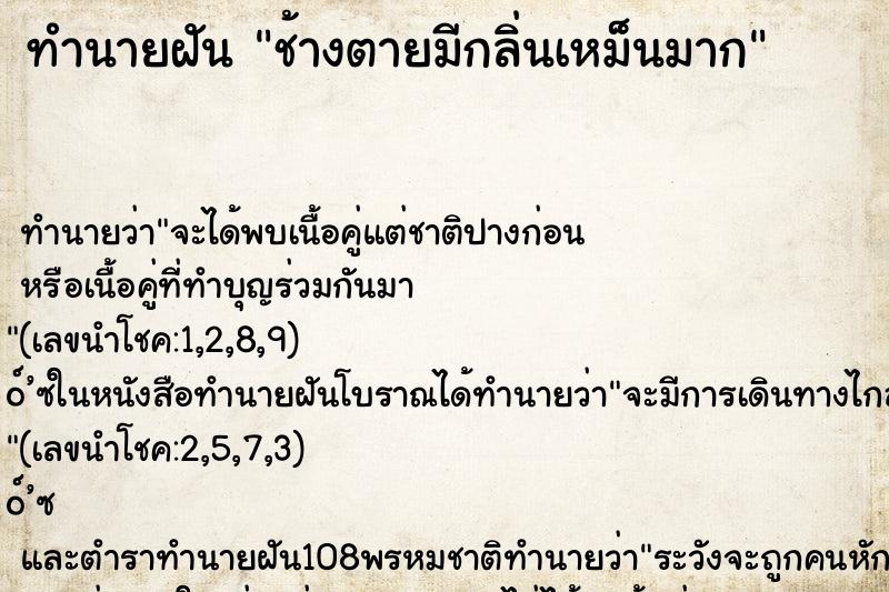 ทำนายฝัน ช้างตายมีกลิ่นเหม็นมาก ทำนายฝัน ช้างตายมีกลิ่นเหม็นมาก