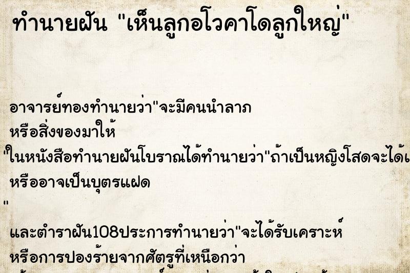 ทำนายฝันทำนายฝันเห็นลูกอโวคาโดลูกใหญ่