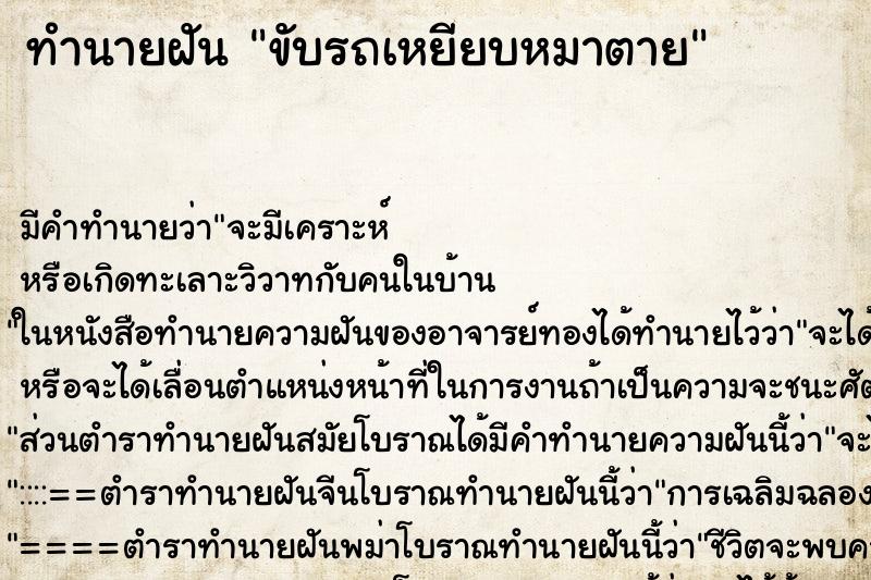 ทำนายฝัน ขับรถเหยียบหมาตาย ทำนายฝัน ขับรถเหยียบหมาตาย