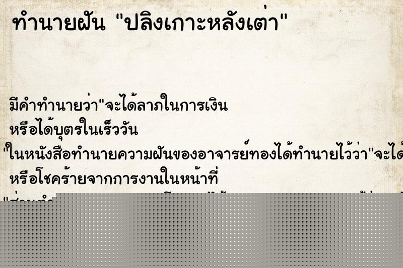 ทำนายฝัน ปลิงเกาะหลังเต่า ทำนายฝัน ปลิงเกาะหลังเต่า
