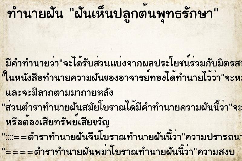 ทำนายฝันฝันเห็นปลูกต้นพุทธรักษา ทำนายฝันทำนายฝันฝันเห็นปลูกต้นพุทธรักษา