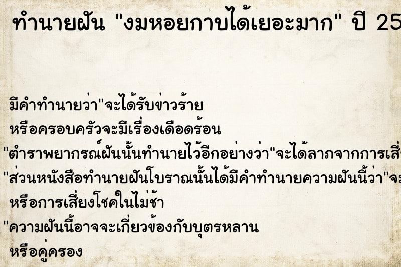ทำนายฝัน งมหอยกาบได้เยอะมาก ทำนายฝัน งมหอยกาบได้เยอะมาก