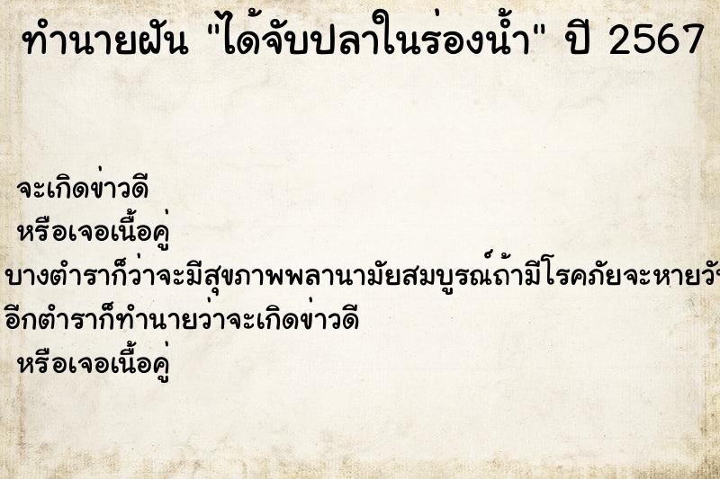 ทำนายฝันได้จับปลาในร่องน้ำ ทำนายฝันทำนายฝันได้จับปลาในร่องน้ำ