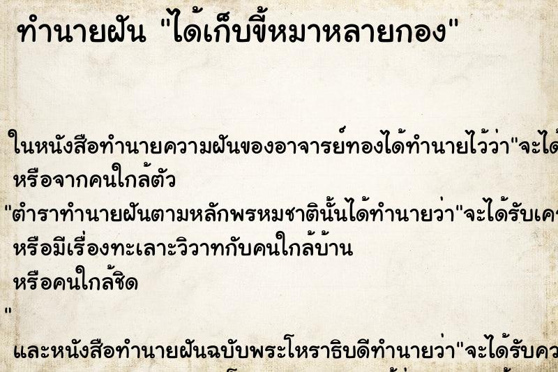 ทำนายฝัน ได้เก็บขี้หมาหลายกอง ทำนายฝัน ได้เก็บขี้หมาหลายกอง