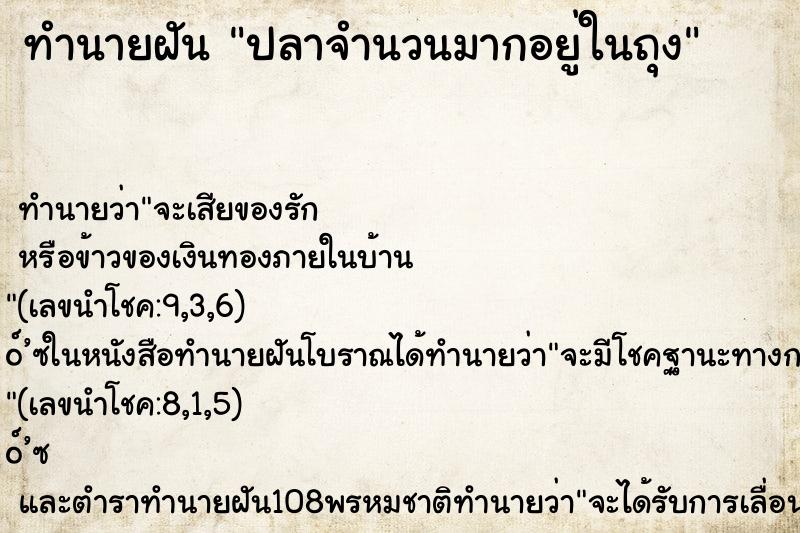 ทำนายฝัน ปลาจำนวนมากอยู่ในถุง ตำราโบราณ แม่นที่สุดในโลก