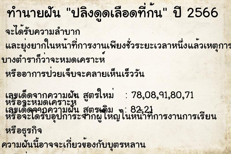 ทำนายฝันปลิงดูดเลือดที่ก้น ทำนายฝันทำนายฝันปลิงดูดเลือดที่ก้น