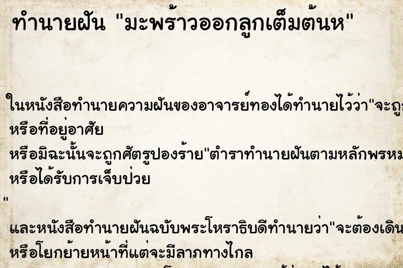 ทำนายฝันมะพร้าวออกลูกเต็มต้นห ทำนายฝันทำนายฝันมะพร้าวออกลูกเต็มต้นห