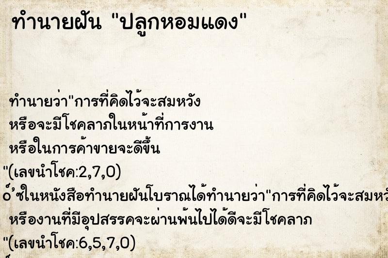 ทำนายฝันปลูกหอมแดง ทำนายฝันทำนายฝันปลูกหอมแดง
