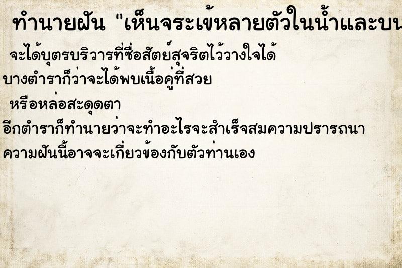 ทำนายฝัน เห็นจระเข้หลายตัวในน้ำและบนบก ทำนายฝัน เห็นจระเข้หลายตัวในน้ำและบนบก