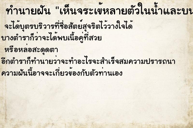 ทำนายฝัน เห็นจระเข้หลายตัวในน้ำและบนบก ตำราโบราณ แม่นที่สุดในโลก