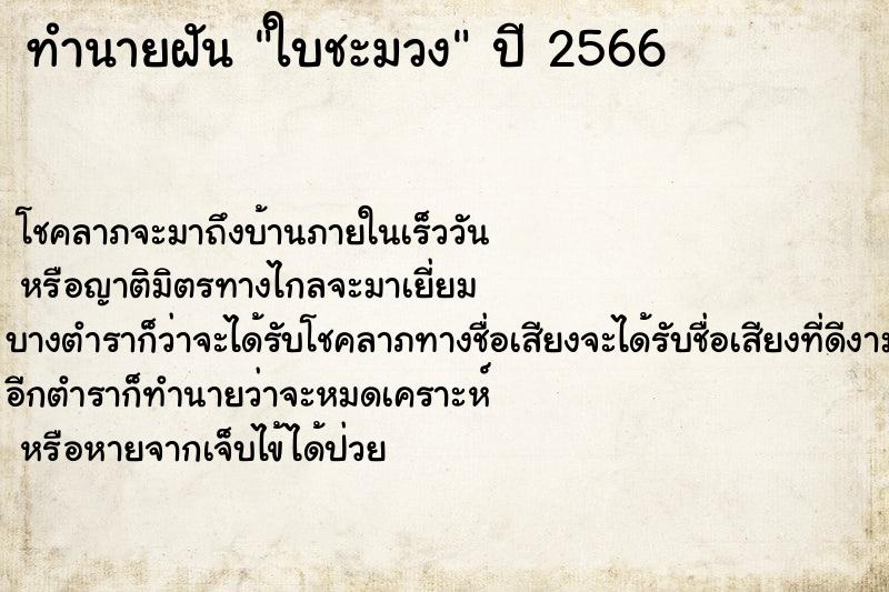 ทำนายฝันทำนายฝันใบชะมวง