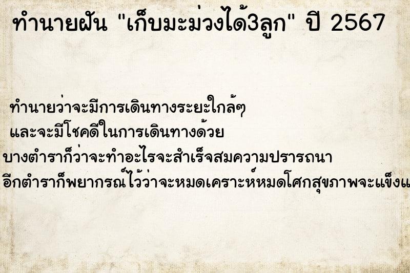 ทำนายฝัน เก็บมะม่วงได้3ลูกแม่นๆ ฟรี ด้วยตำราหนังสือทำนายฝันโบราณ ทำนายฝันเก็บมะม่วงได้3ลูก
