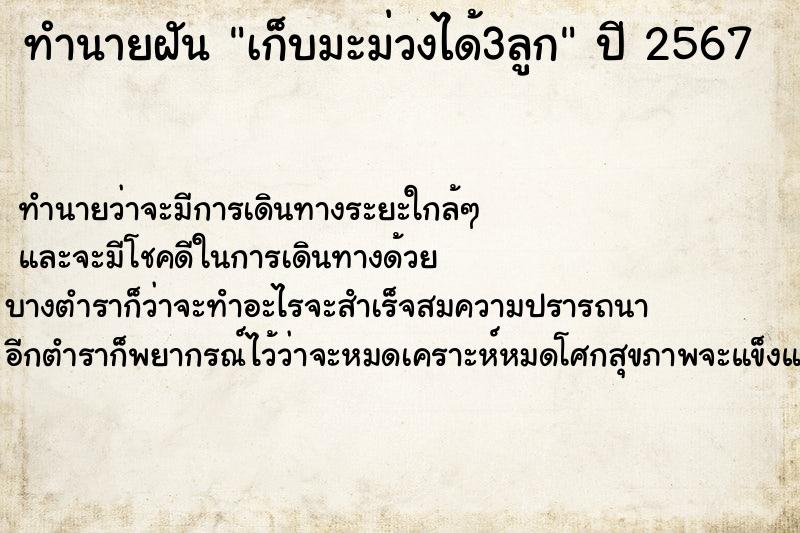 ทำนายฝัน เก็บมะม่วงได้3ลูก ตำราโบราณ แม่นที่สุดในโลก