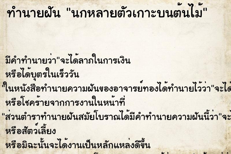 ทำนายฝัน นกหลายตัวเกาะบนต้นไม้ ทำนายฝัน นกหลายตัวเกาะบนต้นไม้