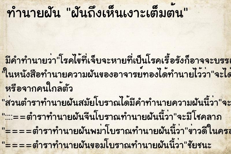 ทำนายฝันฝันถึงเห็นเงาะเต็มต้น ทำนายฝันทำนายฝันฝันถึงเห็นเงาะเต็มต้น