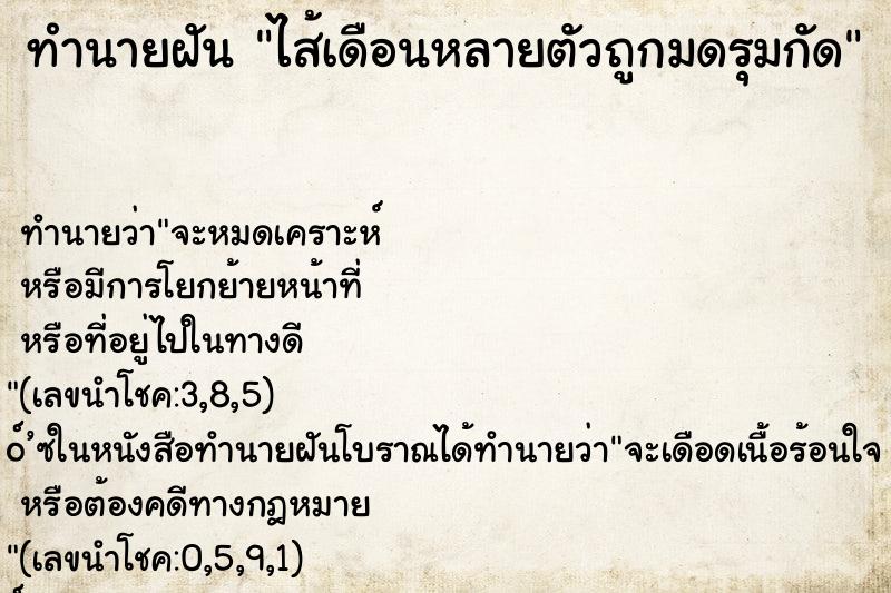 ทำนายฝันไส้เดือนหลายตัวถูกมดรุมกัด ทำนายฝันทำนายฝันไส้เดือนหลายตัวถูกมดรุมกัด