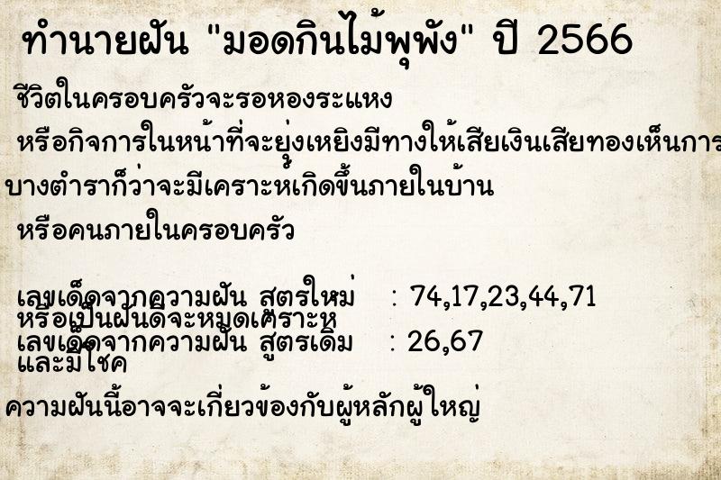 ทำนายฝันทำนายฝันมอดกินไม้พุพัง