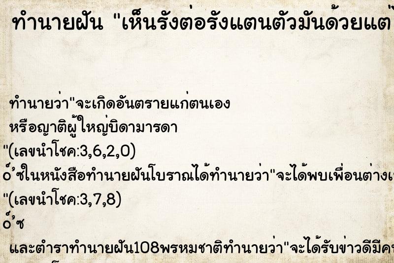 ทำนายฝัน เห็นรังต่อรังแตนตัวมันด้วยแต่ไม่โดนต่อย