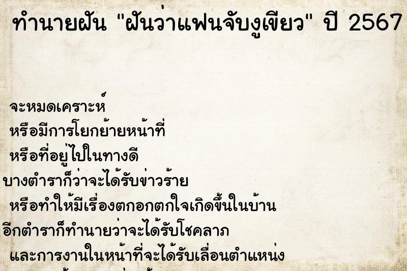 ทำนายฝัน ฝันว่าแฟนจับงูเขียว ทำนายฝัน ฝันว่าแฟนจับงูเขียว