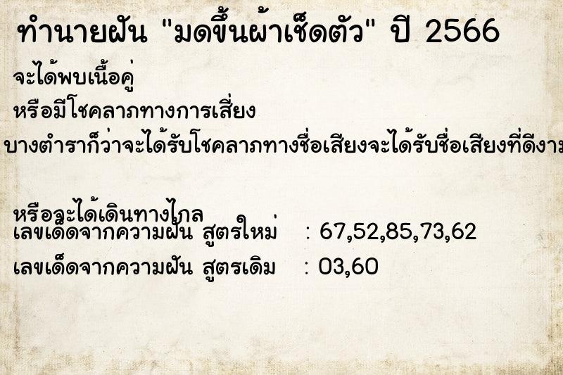 ทำนายฝันมดขึ้นผ้าเช็ดตัว ทำนายฝันทำนายฝันมดขึ้นผ้าเช็ดตัว