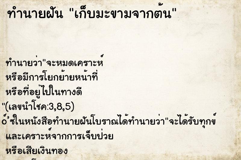 ทำนายฝัน เก็บมะขามจากต้น ตำราโบราณ แม่นที่สุดในโลก